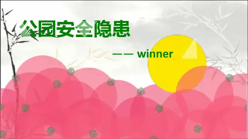 公园安全隐患 PPT