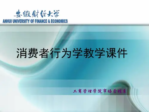 安徽大消费行为第七章消费者的知觉.ppt