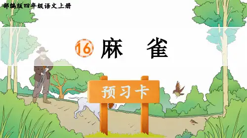 部编版四年级语文上册第16课《 麻雀》课前预习课件