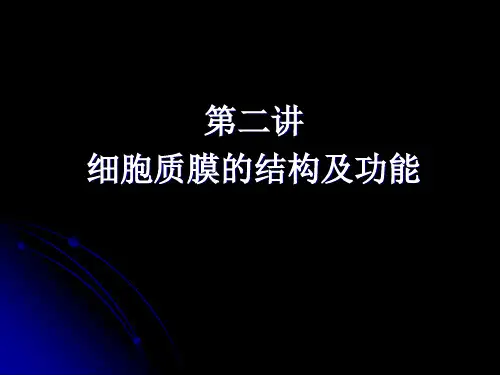 膜的结构和功能