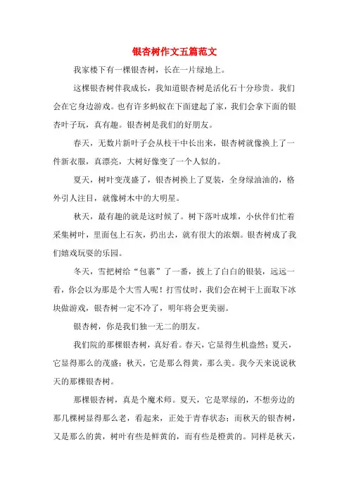 银杏树作文五篇范文