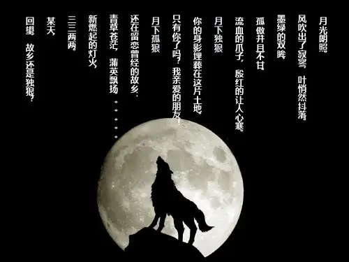 《狼王梦》