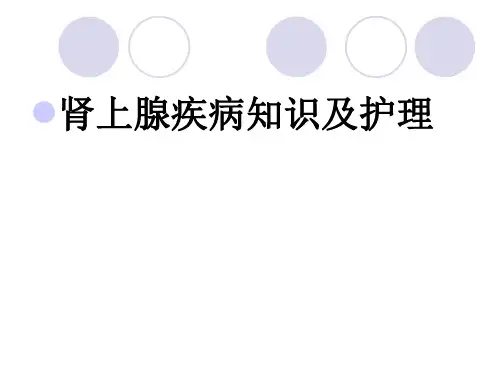 肾上腺