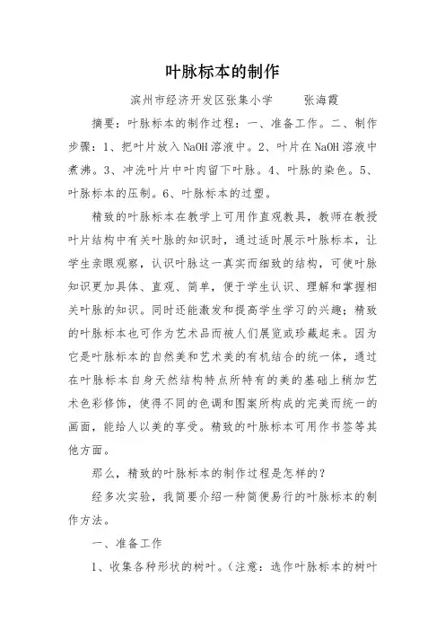 叶脉标本的制作