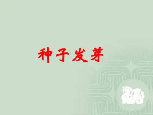 四年级下册科学课件1.2 种子发芽｜ 鄂教版 (共39张PPT)