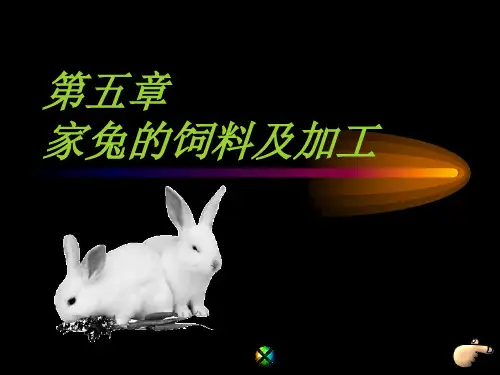 家兔的饲料及加工
