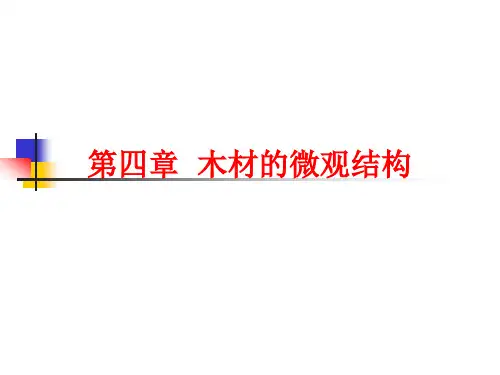 第四章 木材的微观结构