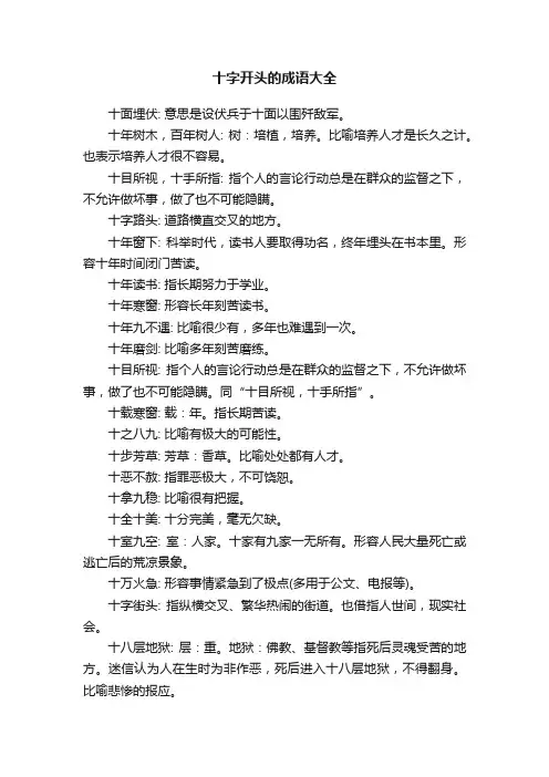 十字开头的成语大全