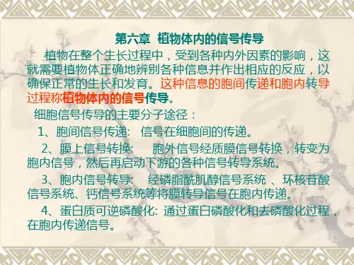 植物激素受体