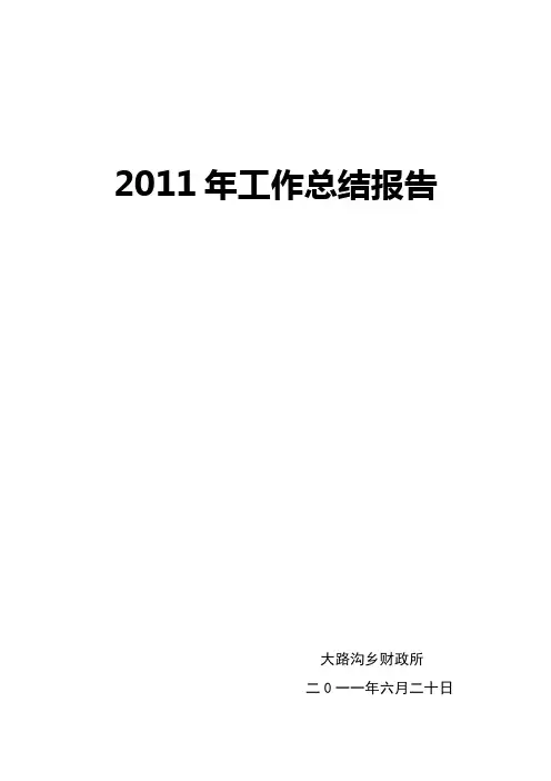 2011年工作总结报告