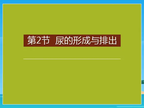 《尿的形成与排出》PPT课件下载[优秀课件资料]