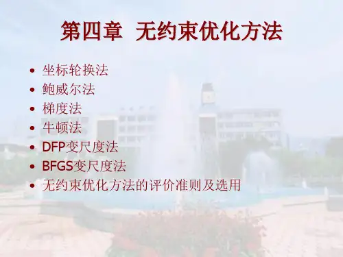 第四章 无约束优化方法