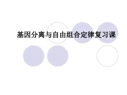 基因分离定律与自由组合定律复习题