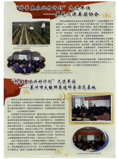 “科普惠农兴村计划”先进单位——莱芜纹源姜蒜协会