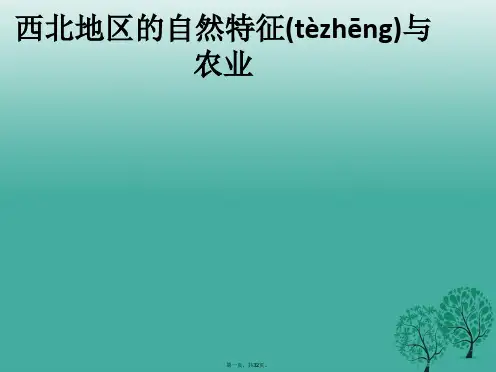 八年级地理下册第八章第一节西北地区的自然特征与农业课件新人教版