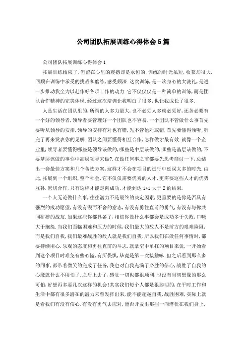 公司团队拓展训练心得体会5篇
