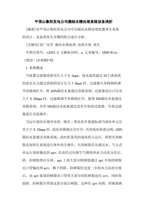 平顶山鲁阳发电公司凝结水精处理系统设备