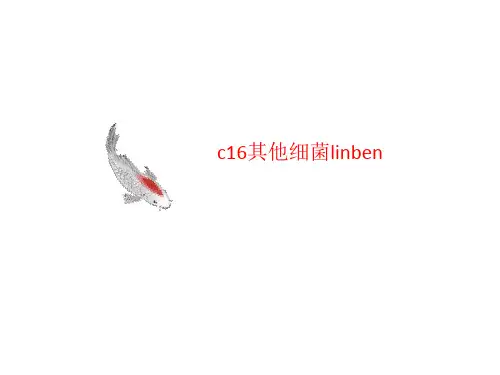 c16其他细菌li讲义nben