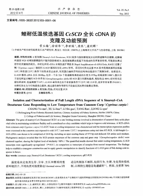 鲤耐低温候选基因CcSCD全长cDNA的克隆及功能预测