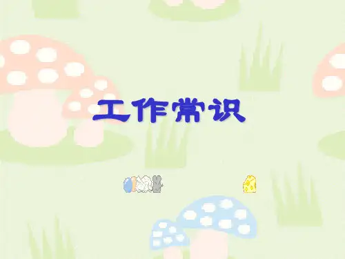 工作常识(培训资料)