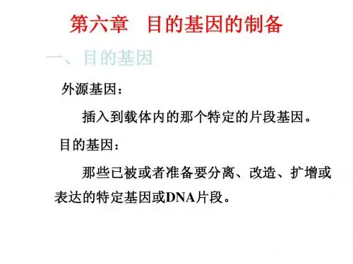 六、文库的构建(一)