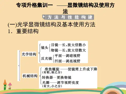高一生物显微镜结构及使用方法PPT优秀课件