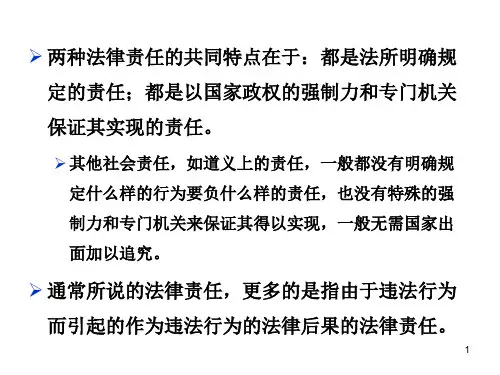 法理学 法律责任