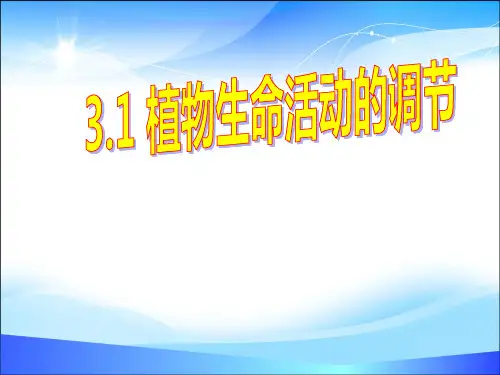 《植物生命活动的调节》PPT【精品课件】