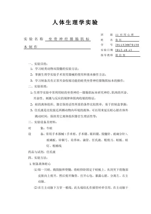 《人体生理实验》牛蛙