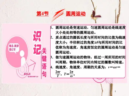 高中物理第五章曲线运动第4节圆周运动课件新人教版必修2