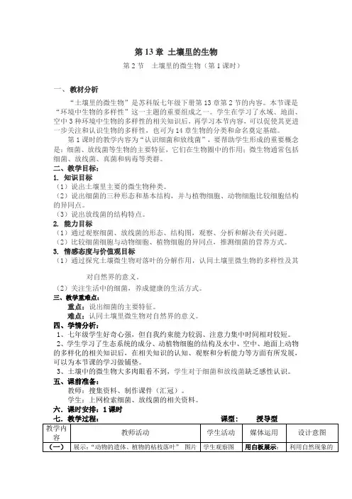 苏科版生物七年级下册 5.13.2 土壤里的微生物 教案 