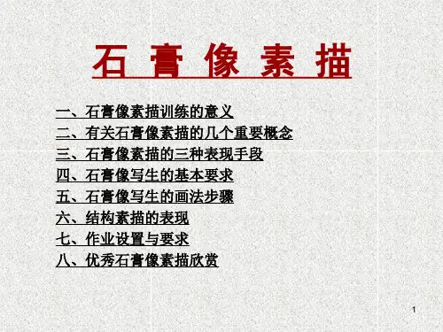 美术课件(石膏像)