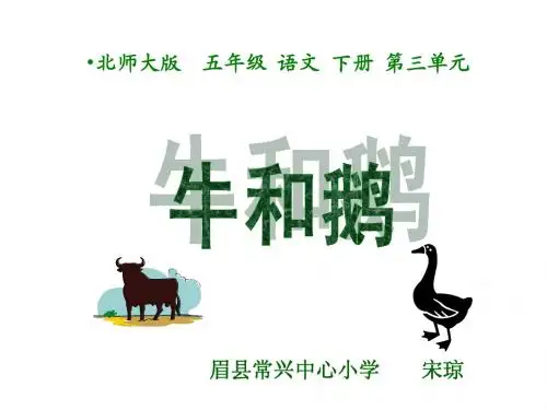 牛和鹅课件