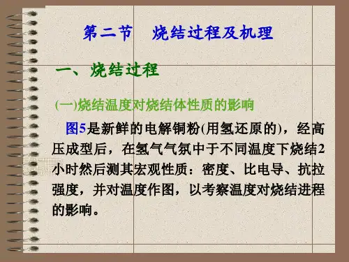 烧结过程与机理