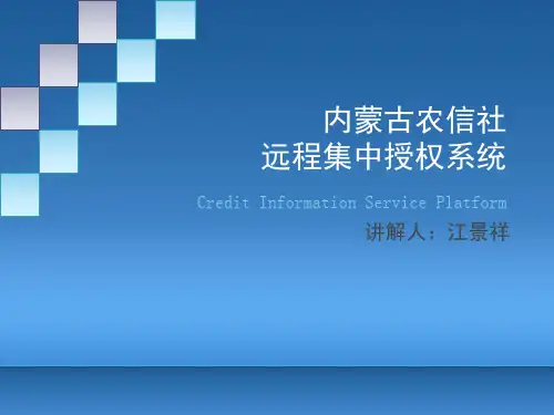 远程集中授权系统(公司方)讲解课件