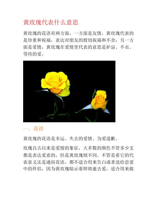 黄玫瑰代表什么意思