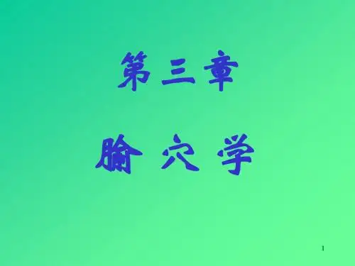 针灸教学腧穴