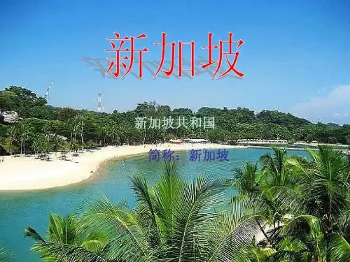 新加坡简介及法律民俗