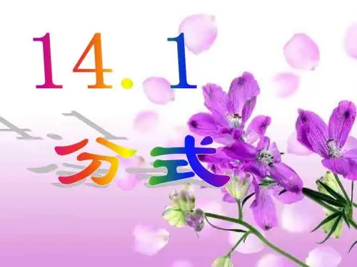 分式1--华师大版