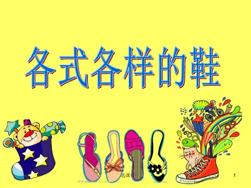 《各式各样的鞋》PPT课件
