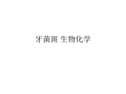 牙菌斑生物化学