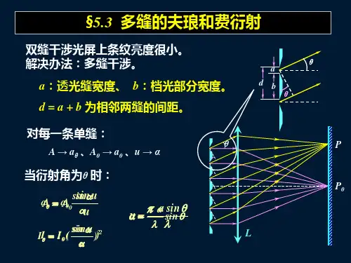 多缝的夫琅禾费衍射