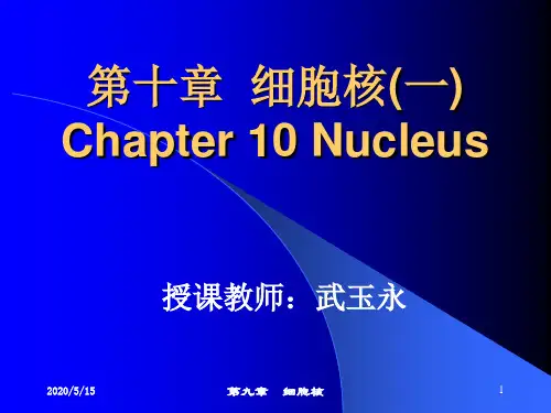 第十章  细胞核(一)-2014-1