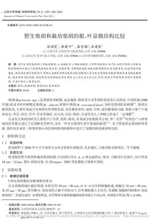 1.野生柴胡和栽培柴胡的根_叶显微结构比较