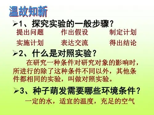 7.2探究环境污染对生物的影响 -初一生物课件七年级下册PPT