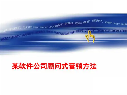某软件公司顾问式营销方法