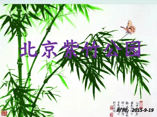 北京紫竹公园