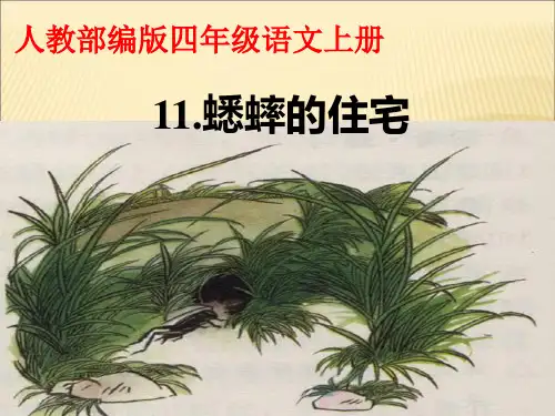 部编版四年级上册蟋蟀的住宅PPT优秀课件1