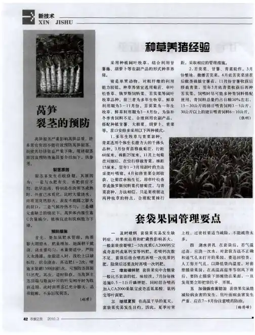 套袋果园管理要点