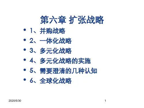 第六章  扩张战略   (《战略管理》PPT课件)